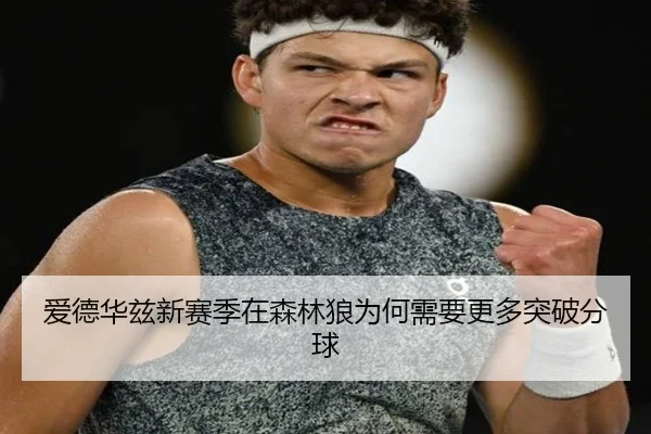 爱德华兹新赛季在森林狼为何需要更多突破分球